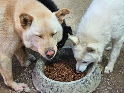 슬라이드 이미지