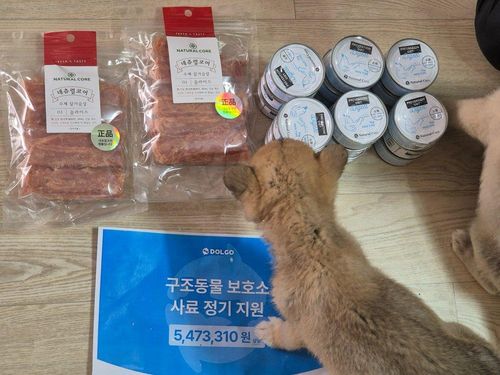 슬라이드 이미지