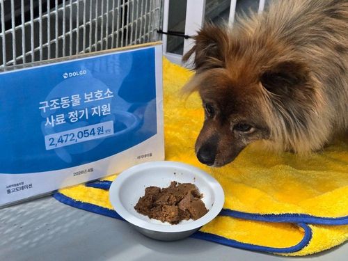 슬라이드 이미지