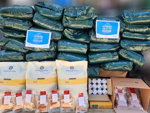 슬라이드 이미지