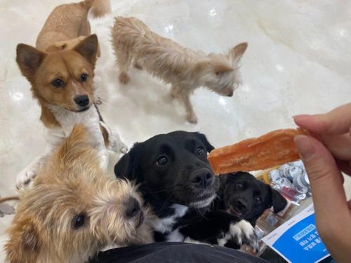 슬라이드 이미지