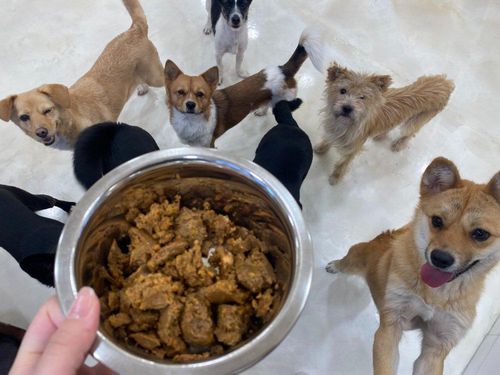 슬라이드 이미지