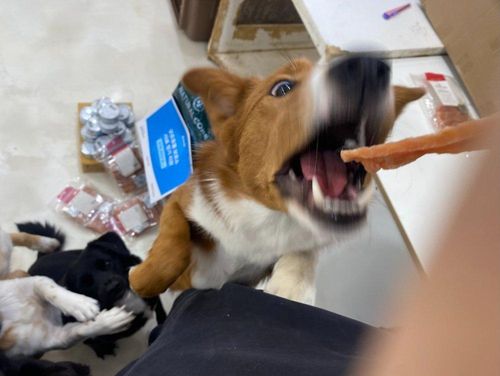 슬라이드 이미지