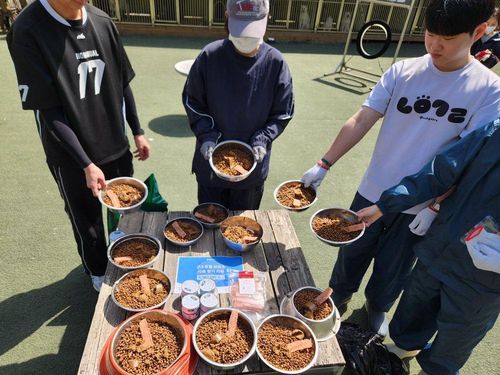 슬라이드 이미지