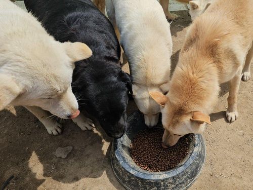 슬라이드 이미지