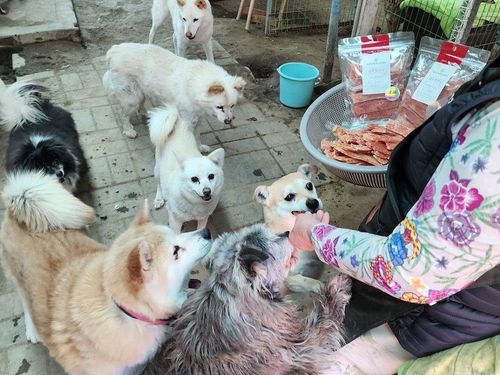 슬라이드 이미지