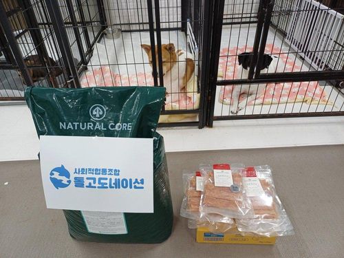 슬라이드 이미지