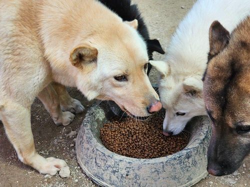 슬라이드 이미지