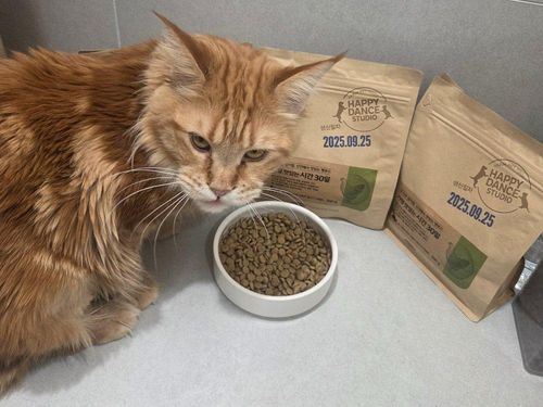 슬라이드 이미지