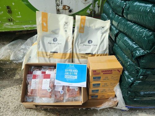 슬라이드 이미지