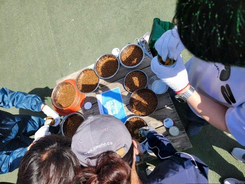 슬라이드 이미지