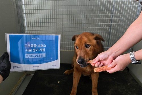 슬라이드 이미지