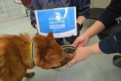 슬라이드 이미지