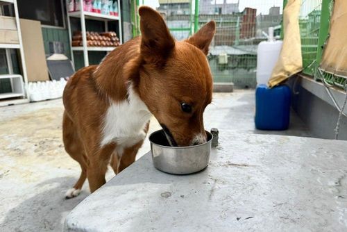 슬라이드 이미지