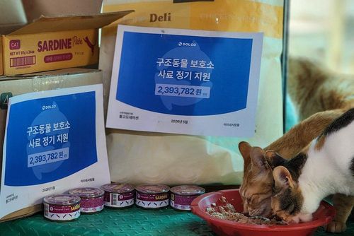 슬라이드 이미지