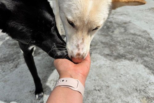 슬라이드 이미지