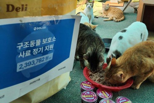 슬라이드 이미지