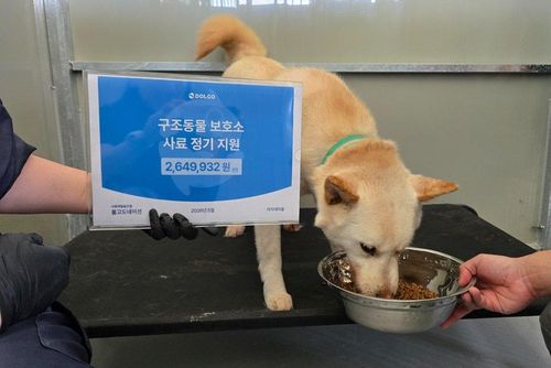 슬라이드 이미지