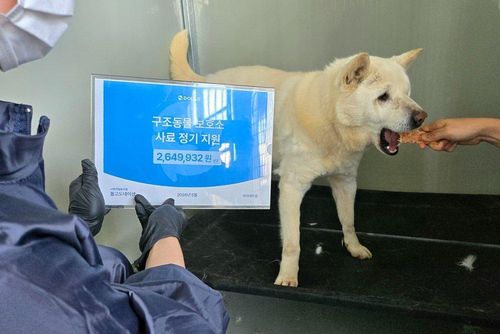 슬라이드 이미지