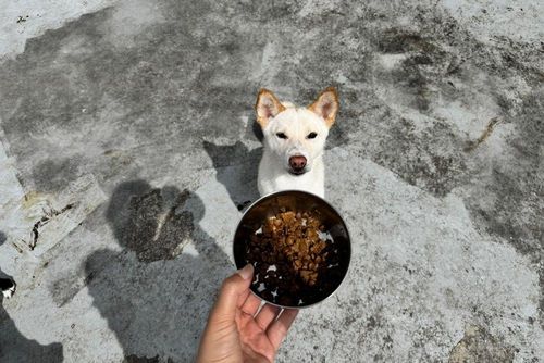 슬라이드 이미지