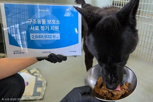 슬라이드 이미지