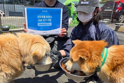 슬라이드 이미지
