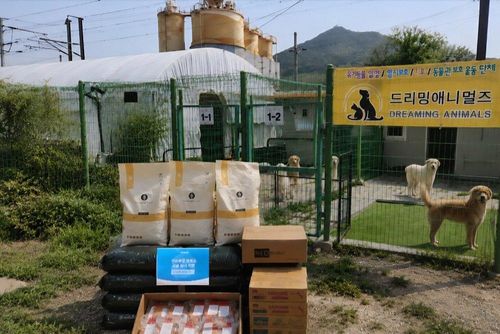 슬라이드 이미지