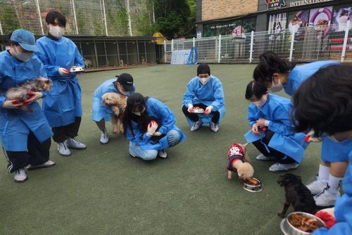 슬라이드 이미지