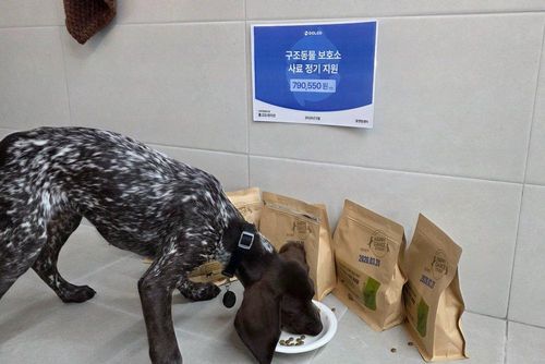 슬라이드 이미지