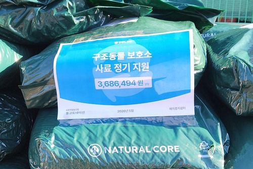 슬라이드 이미지