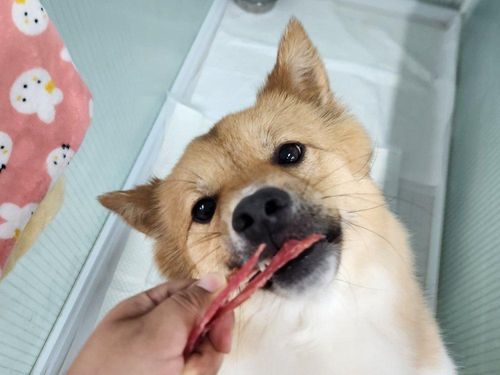 슬라이드 이미지