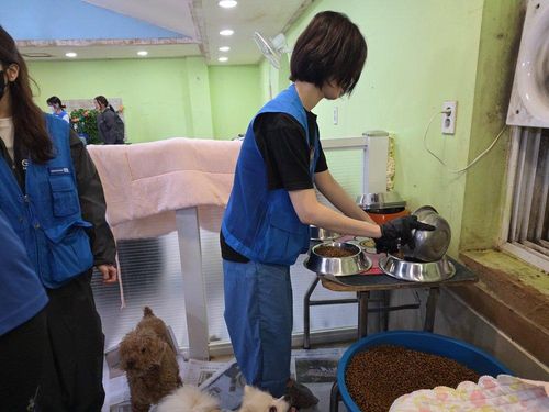 슬라이드 이미지