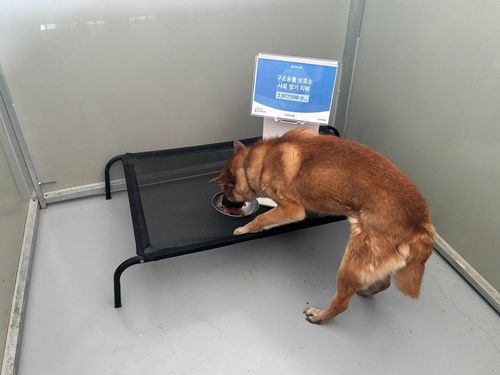 슬라이드 이미지
