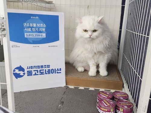 슬라이드 이미지