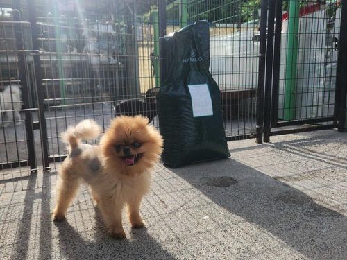 슬라이드 이미지
