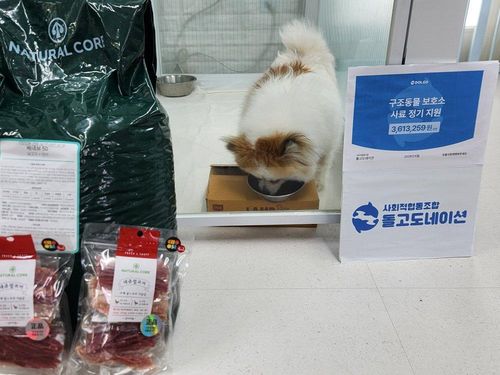 슬라이드 이미지