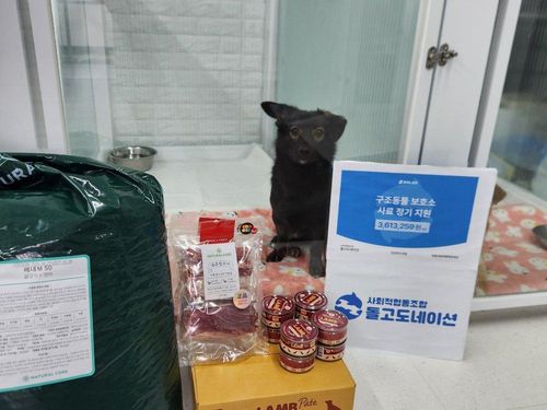 슬라이드 이미지