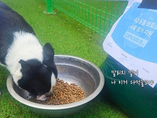 슬라이드 이미지