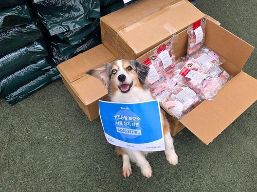 슬라이드 이미지