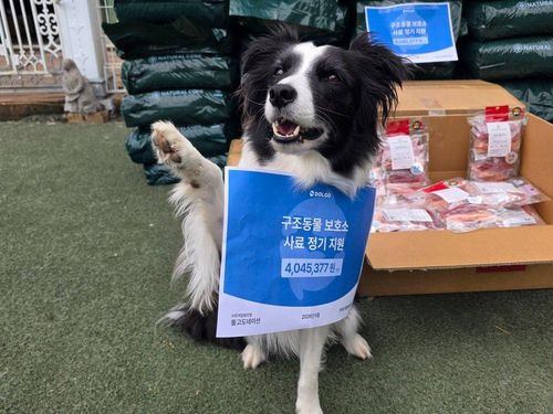 슬라이드 이미지