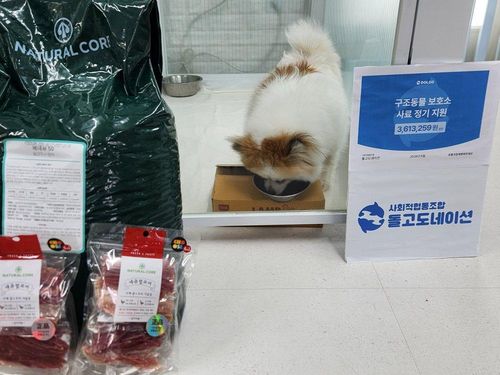 슬라이드 이미지