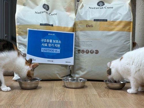 슬라이드 이미지
