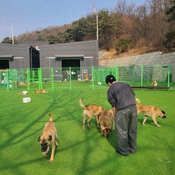 [래빗해빛] 누렁이 전문 보호소 10월 봉사