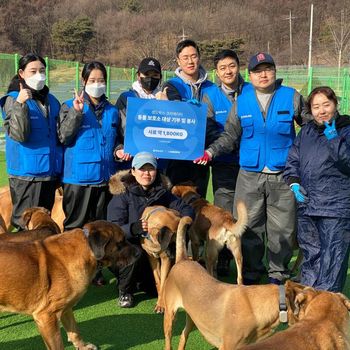 [샌드박스] 누렁이 전문 보호소 봉사 (4차)