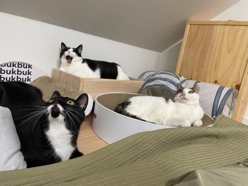 슬라이드 이미지