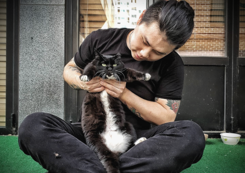 슬라이드 이미지