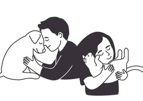 슬라이드 이미지