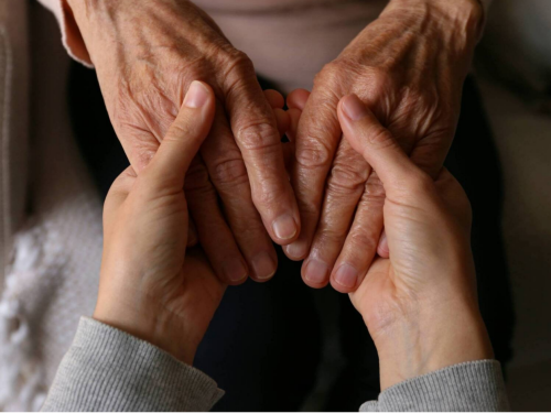 슬라이드 이미지