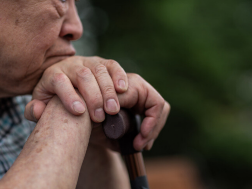 슬라이드 이미지