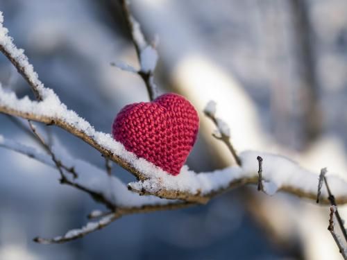 슬라이드 이미지